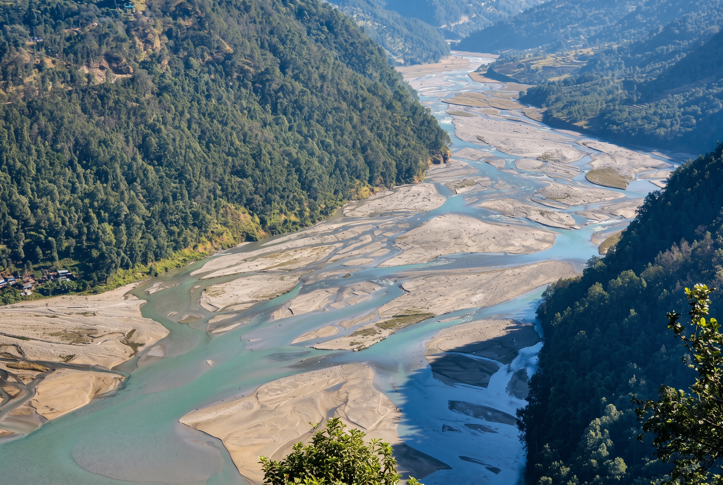 Braided River Valley and Forested Mountain Landscape